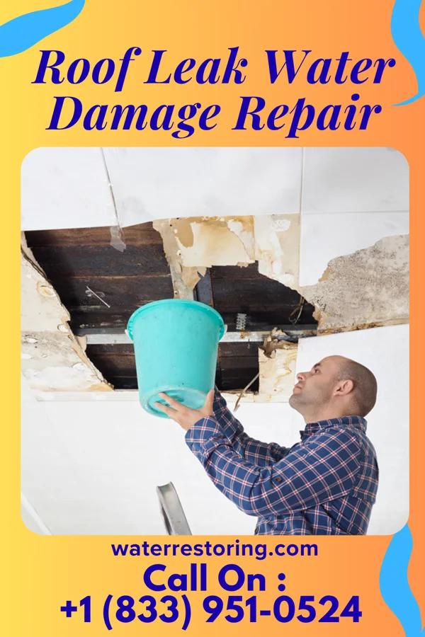 Roof Leak Water Damage Repair in Steele, MO