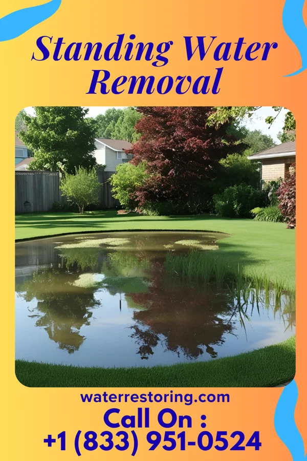 Standing Water Removal in Steele, MO